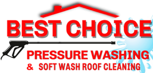 Best-Choice-Logo-Transparent-SMALL-300x143-1